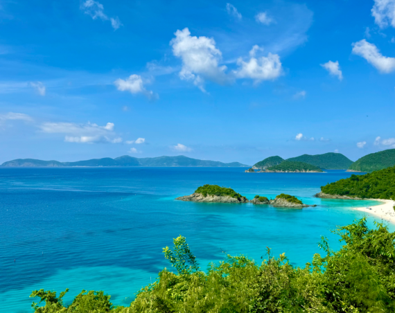 Trunk Bay