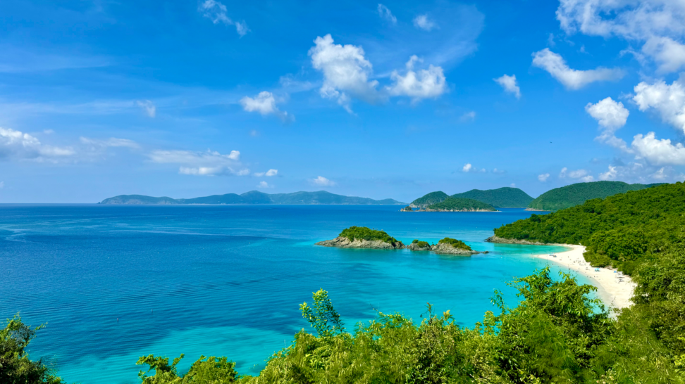 Trunk Bay