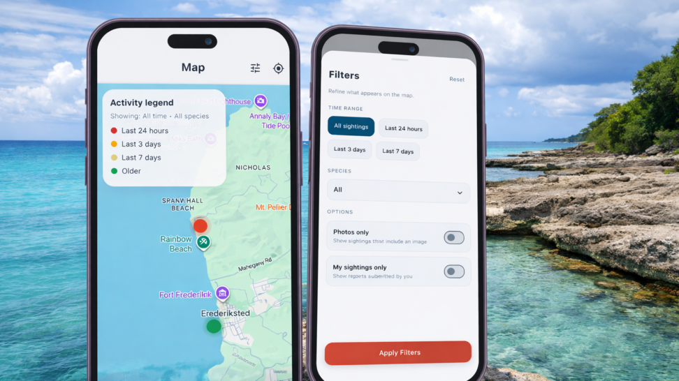 Two smartphones displaying the Coast Clear app with a shark sightings map and filter options over a tropical St. Croix coastline.