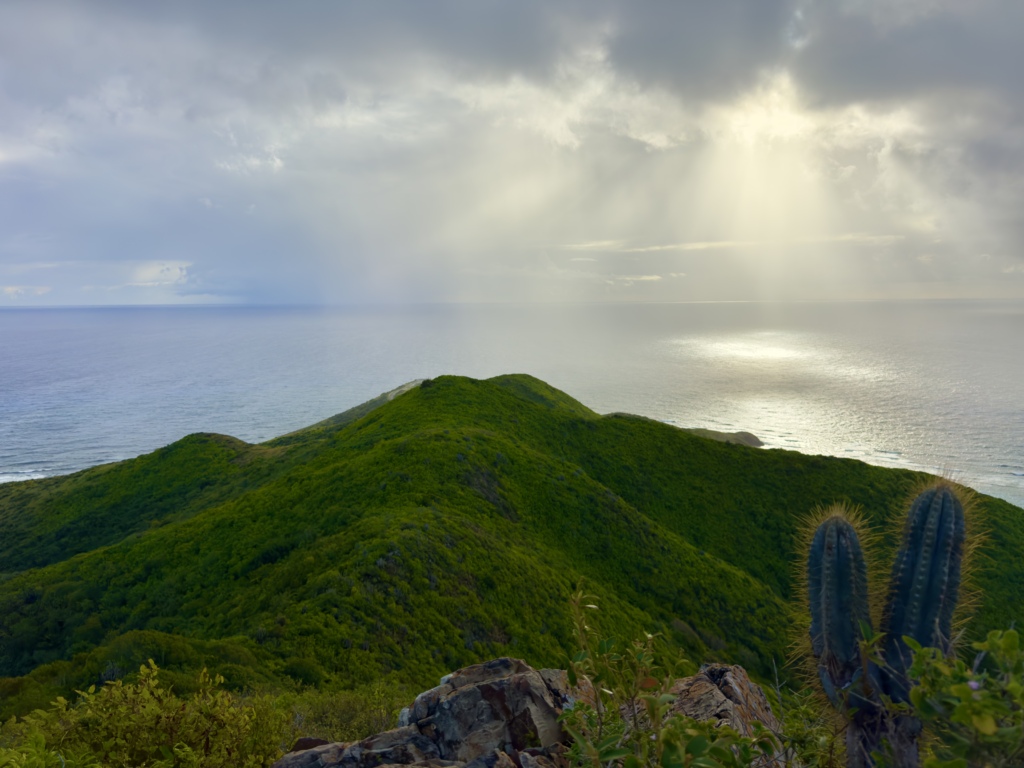 View from Goat Hill in St. Croix showing a lush green ridge, cactus in the foreground, and sun rays over the Caribbean Sea.