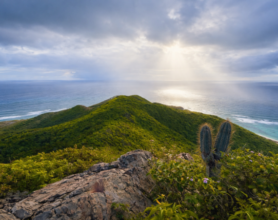 View from Goat Hill in St. Croix showing a lush green ridge, cactus in the foreground, and sun rays over the Caribbean Sea.