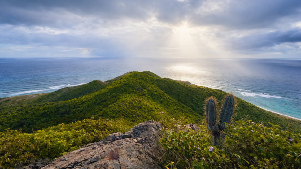 View from Goat Hill in St. Croix showing a lush green ridge, cactus in the foreground, and sun rays over the Caribbean Sea.