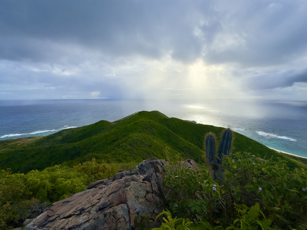 View from Goat Hill in St. Croix showing a lush green ridge, cactus in the foreground, and sun rays over the Caribbean Sea.