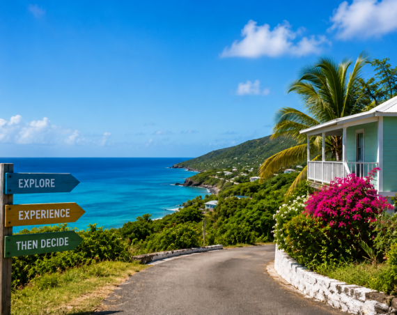 Scenic coastal road winding through the lush hills of St. Croix, overlooking the turquoise Caribbean Sea with a tropical home and palm trees nearby.
