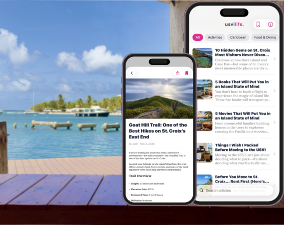 Why I Built the USVI Life App