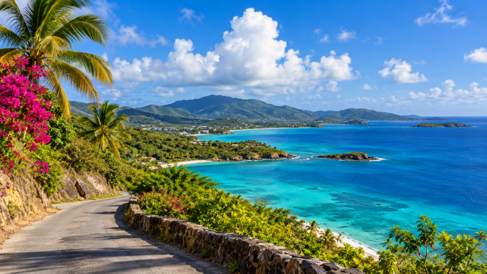 Scenic Caribbean coastal road overlooking turquoise bays, lush green hills, palm trees, and vibrant tropical flowers beneath a bright blue sky in the U.S. Virgin Islands.